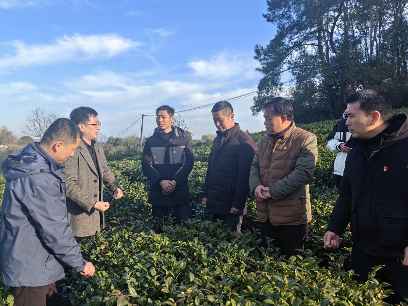 觀(guān)摩交流促提升 凝心聚力謀發(fā)展