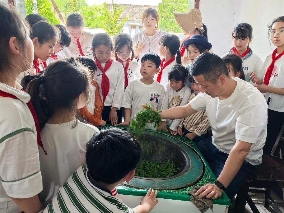 區(qū)關工委組織學生到實驗茶場開展茶文化主題實踐活動