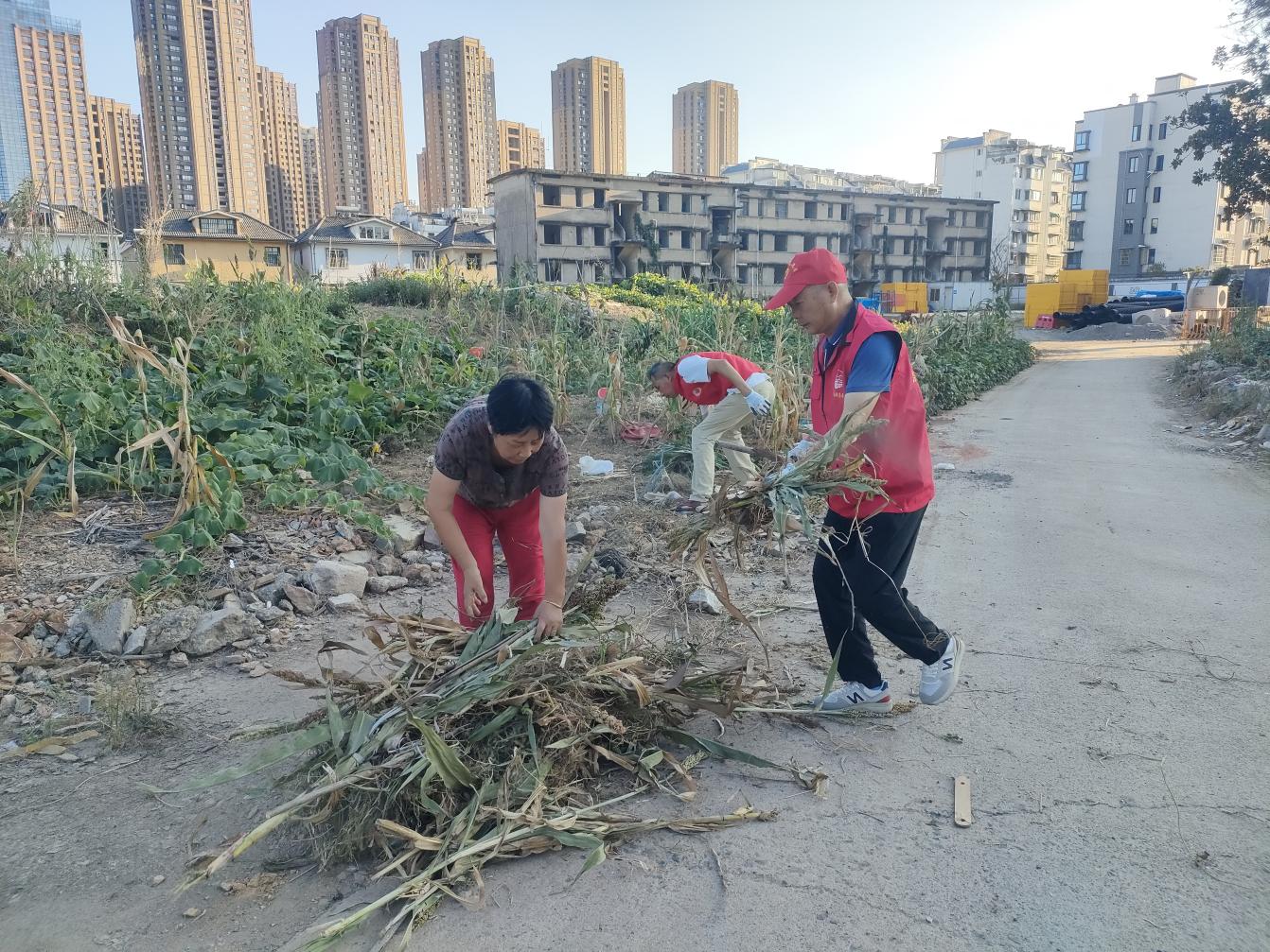 黨員進社區(qū)：守護綠色家園，彰顯國企擔當