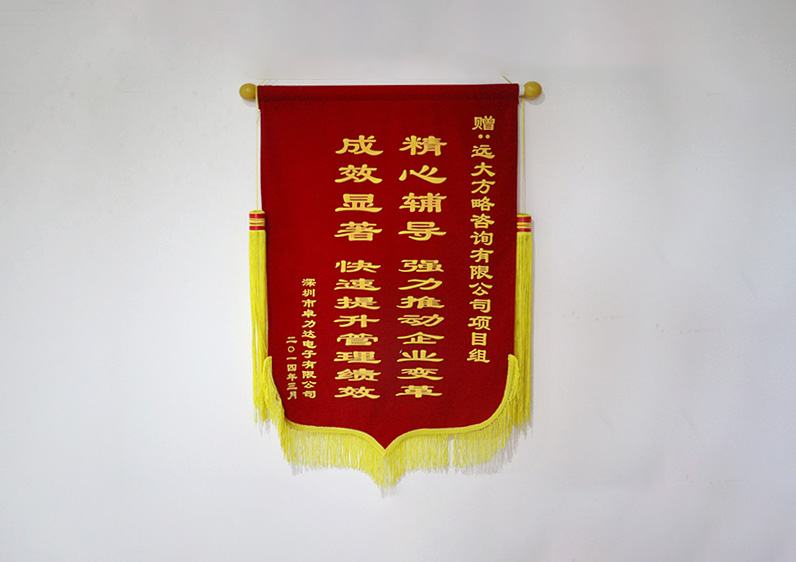 精心輔導(dǎo)，強(qiáng)力推動(dòng)企業(yè)變革